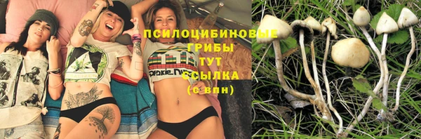 экстази Горнозаводск