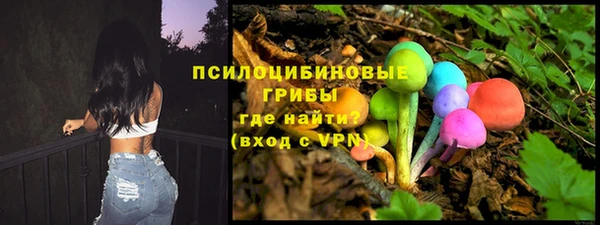 apvp Горняк