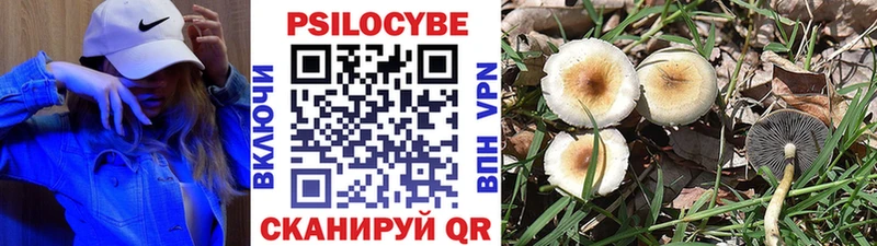Галлюциногенные грибы прущие грибы  купить наркоту  Вуктыл 